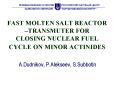 FAST MOLTEN SALT REACTOR TRANSMUTER FOR CLOSING NUCLEAR FUEL CYCLE ON MINOR ACTINIDES