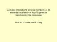 Complex interactions among members of an essential subfamily of hsp70 genes in Saccharomyces cerevis