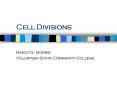 Cell Divisions