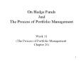 On Hedge Funds And The Process of Portfolio Management