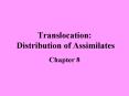Translocation: Distribution of Assimilates
