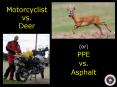 Motorcyclist vs. Deer