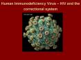 Human Immunodeficiency Virus HIV and the correctional system