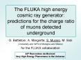 The FLUKA high energy cosmic ray generator: predictions for the charge ratio of muons detected under