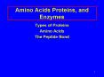 Amino Acids Proteins, and Enzymes