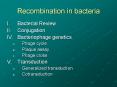 Recombination in bacteria