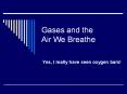 Gases and the Air We Breathe