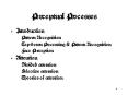 Perceptual Processes