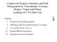 Commercial Property Insurance and Risk Management by Trieschmann, Weining, Hedges, Trupin and Flitner (readings in CAS Study Kit)