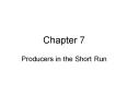 Producers in the Short Run