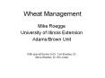 Wheat Management