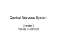 Central Nervous System