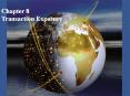 Transaction Exposure