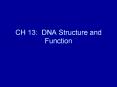 CH 13: DNA Structure and Function