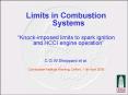 Limits in Combustion Systems