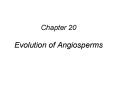Chapter 20 Evolution of Angiosperms