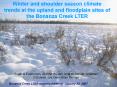 Winter and shoulder season climate trends at the upland and floodplain sites of the Bonanza Creek LT