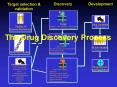The Drug Discovery Process