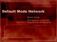 Default Mode Network