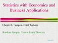 Statistics with Economics and Business Applications