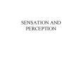 SENSATION AND PERCEPTION
