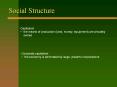 Social Structure