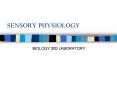 SENSORY PHYSIOLOGY