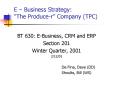 E Business Strategy: The Producer Company TPC