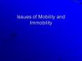 Issues of Mobility and Immobility