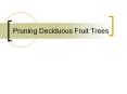 Pruning Deciduous Fruit Trees