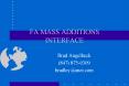 FA MASS ADDITIONS INTERFACE