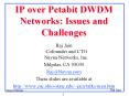 IP over Petabit DWDM Networks: Issues and Challenges