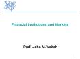 Financial Institutions and Markets