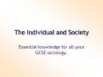 The Individual and Society