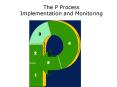 The P Process Implementation and Monitoring