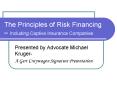 The Principles of Risk Financing Including Captive Insurance Companies