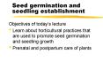 Seed germination and seedling establishment