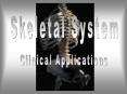 Skeletal System