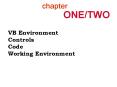 VB Environment Controls Code Working Environment