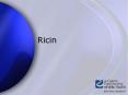 Ricin