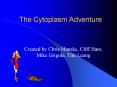 The Cytoplasm Adventure