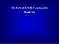 The Firm and Profit Maximization