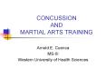 CONCUSSION AND MARTIAL ARTS TRAINING