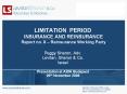 LIMITATION PERIOD INSURANCE AND REINSURANCE Report no. 8 Reinsurance Working Party