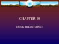 USING THE INTERNET