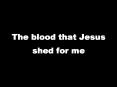 The blood that Jesus shed for me