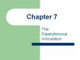 The Patellofemoral Articulation
