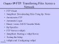 Chapter 19 FTP: Transferring Files Across a Network