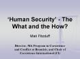 Human Security The What and the How