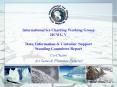 International Ice Charting Working Group IICWG V Data, Information